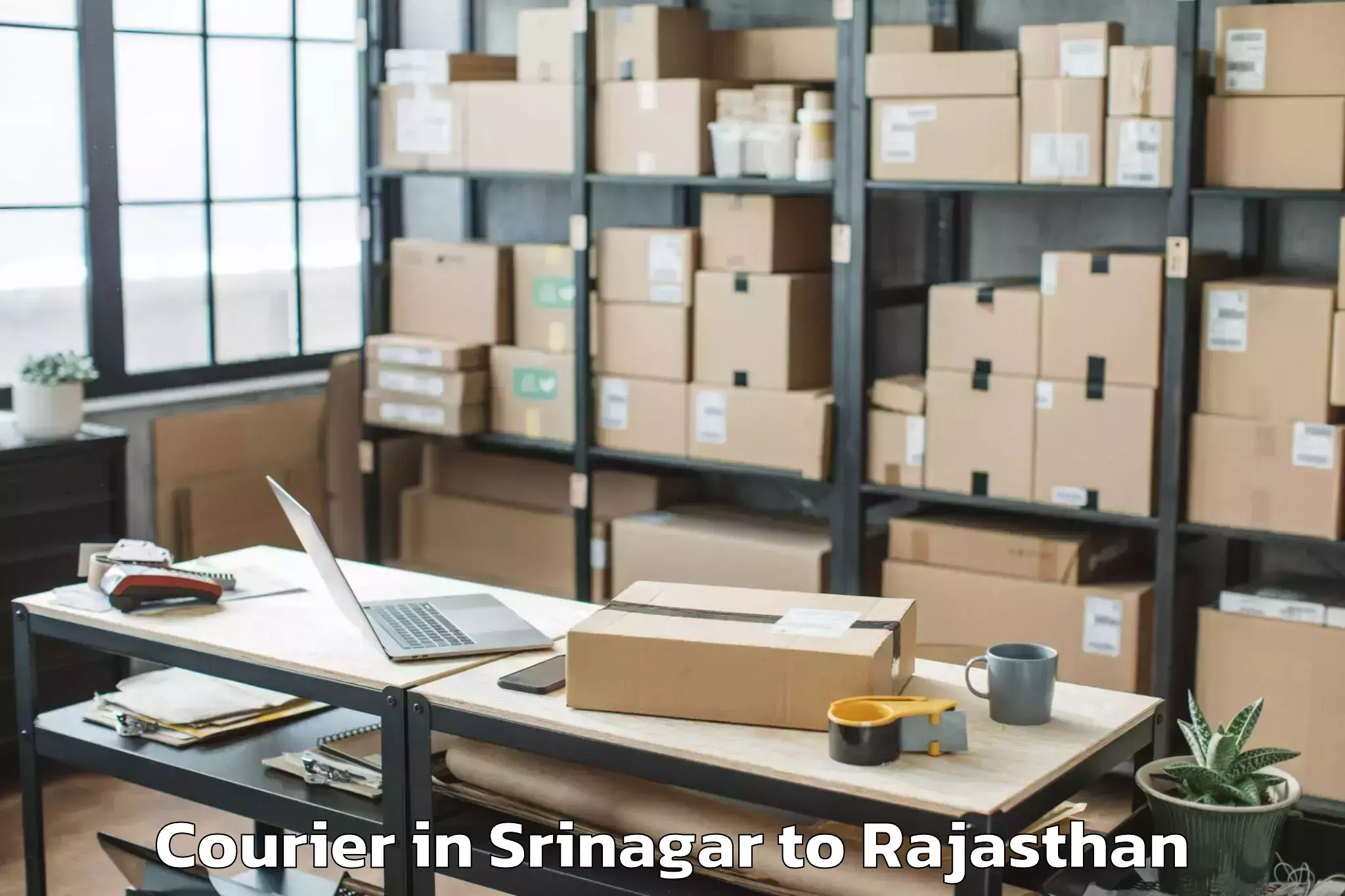 Trusted Srinagar to Mewar University Chittorgarh Courier